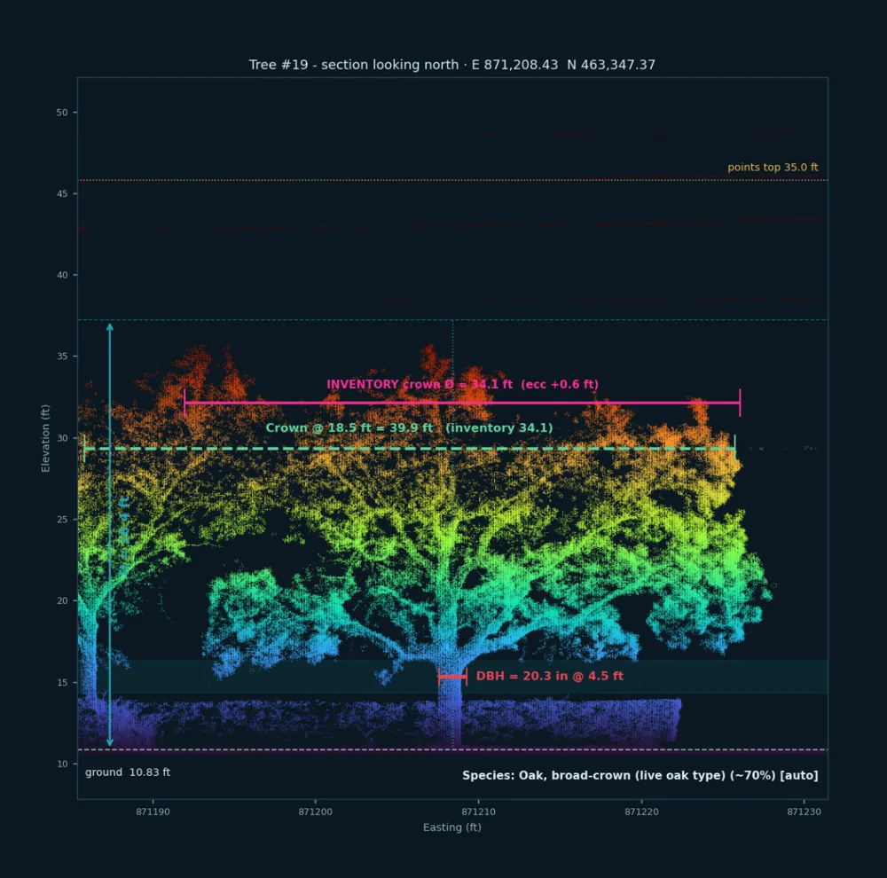 SurveyFy AI per-tree section chart showing trunk diameter at breast height, tree height and crown width